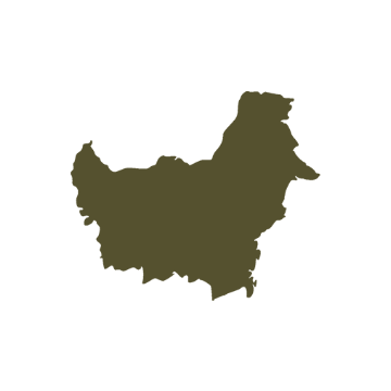 Green silhouette map of Borneo